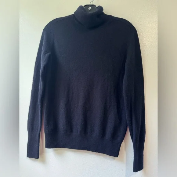 Everlane Cashmere Blue Turtleneck Sweater